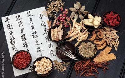 Traditional Chinese Medicine Herbs List