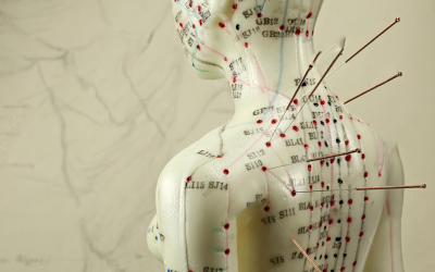 Fertility and Chinese Medicine