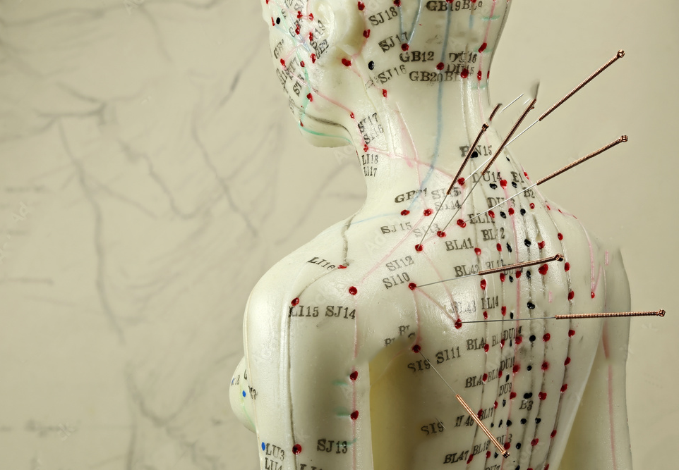 Fertility and Chinese Medicine